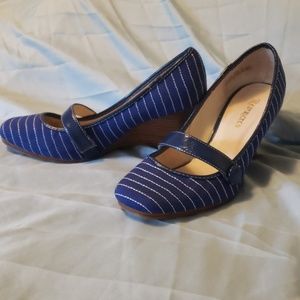 Blue Wedges